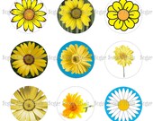 INSTANT DOWNLOAD Daisy Flower 1 inch circle Botttlecap Images 4x6 sheet