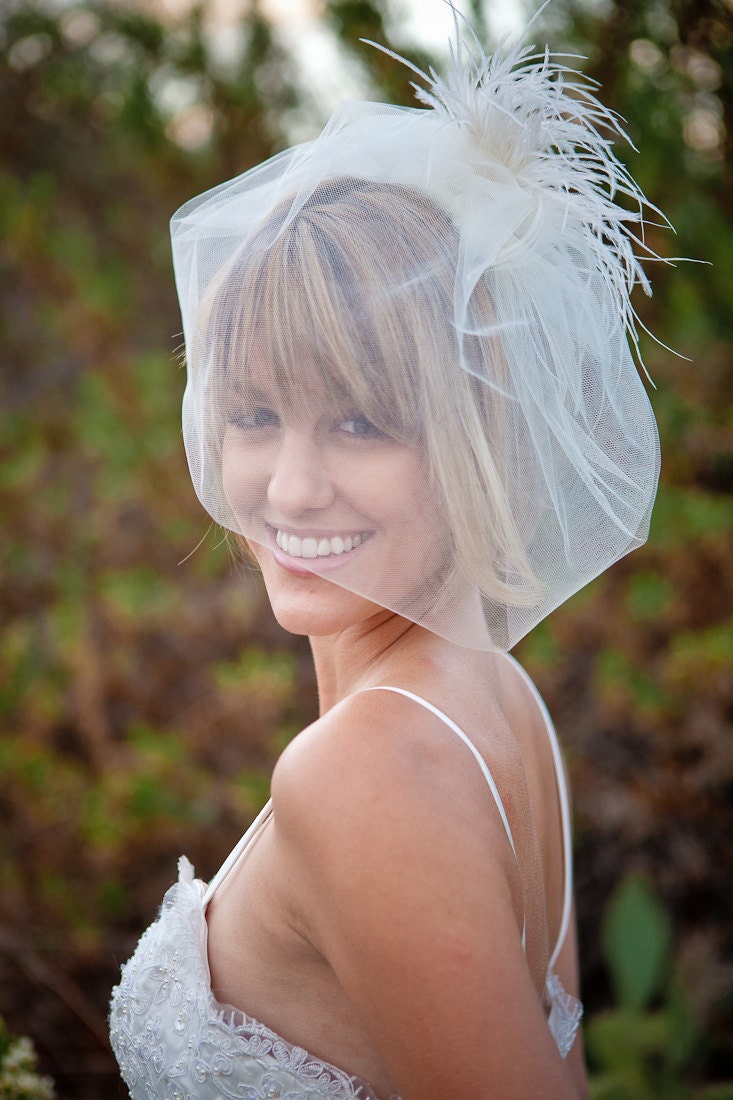Custom Listing for Danielle - Birdcage Veil, Double Layer Ivory Blusher Wedding, Bridal, Flower, Headpiece
