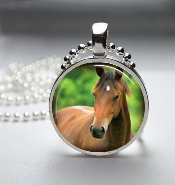 Photo Pendant, Art Pendant, Glass Dome Pendant, Horse, Animal, Necklace No. 005-60