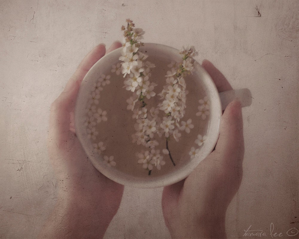 Infusion - A Cup of Tea and Flowers Photography Print 5x7