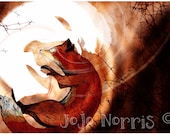Rolling Foxes
