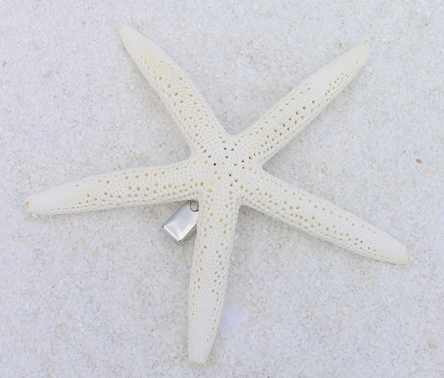 Large White Finger Starfish Clip