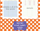 important account numbers - EDITABLE / FILLABLE PDF document