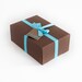 camera cookie gift box (9 cookies)