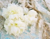 French wedding  - Les pivoines - Peonies mothers day antic lace white pastel flowers -  fine art film print 8 x 12