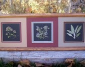 Real Pressed Herb Art - Pressed Sage, Marjoram, Borage- Framed Herb Garden - Herb Pictures