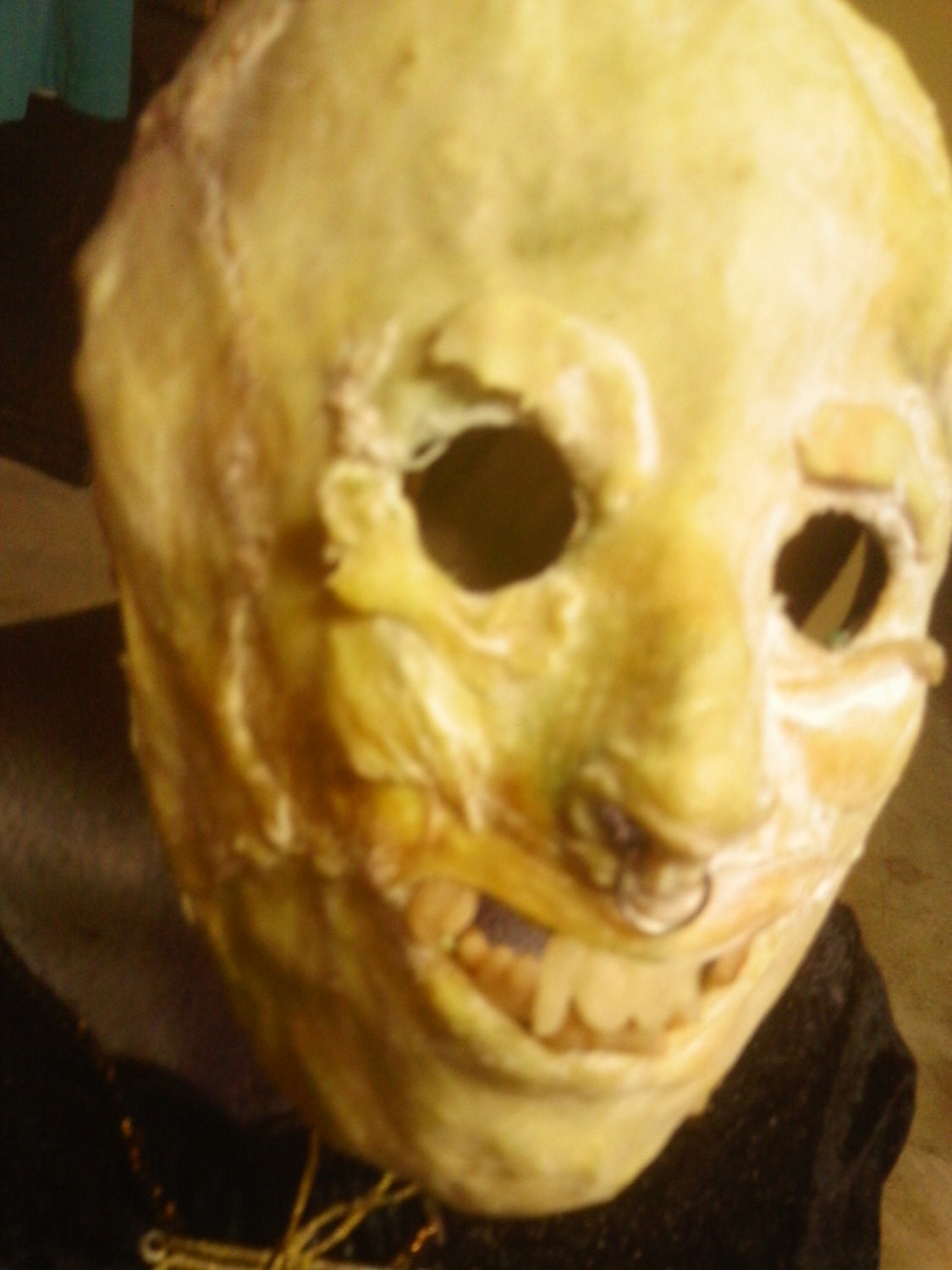 mask made of chicken skin by Electra McCloskey