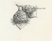 Acorns Fine Art Card