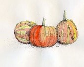 Pumpkin and Gourds  - 5 x 7 Signed Fine Art Print