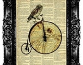 OWL on BICYCLE & Human Anatomy Upcycled Book Dictionary Print Art Prints Vintage Book Print Vintage Book Page Recycled   Buy 3 get 4th free