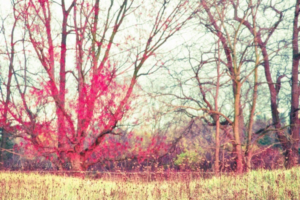 Ruby Winter - nature photography woodland dreamy home decor print picture red flame hot pink tree landscape gift bright colors