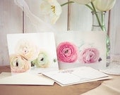 Ranunculus postcards - dreamy flower photography romantic gift for her nursery decor luxury statement pale pink botanical sunshine white