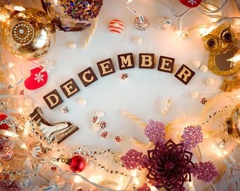 December - photography print Merry Christmas decor New Year lights garland festive ornament celebration holiday joy calendar owl gift