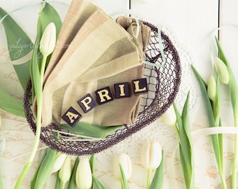 April, spring romantic photograph print shabby chic white tulip flower floral botanical gift for her glamor sweet pastel zodiac Aries Taurus