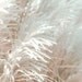 Silver Light - romantic shabby chic valentine gift for her fine art print whimsical dreamy nature photography botanical floral home decor