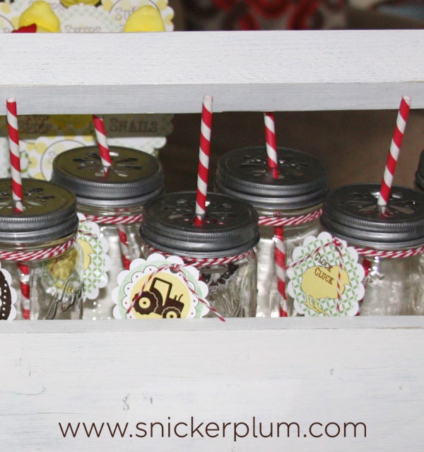 Pewter or Gold Mason Jar Daisy Drink Lids- Set of 12