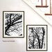 Nature Art Prints, Beautiful Trees, Set Of 2-11X14 Inches, other sizes and colors