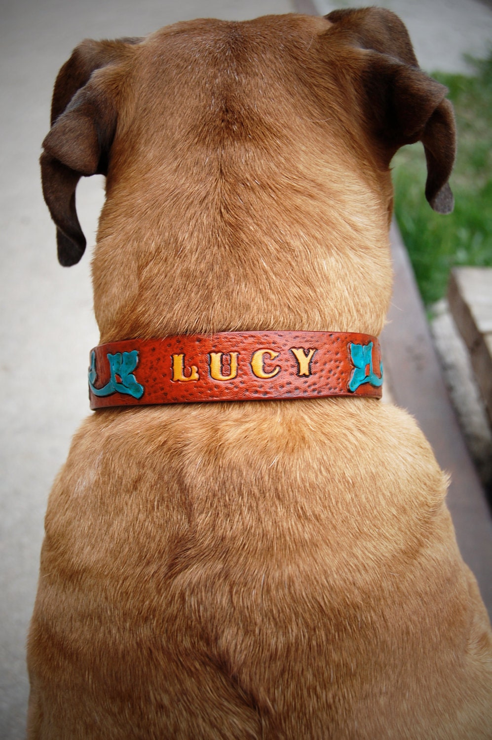 Tooled Leather Dog Collars