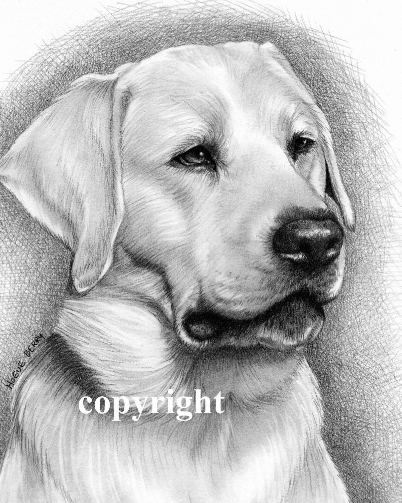Yellow Labrador Retriever, Portrait, 8x10 Fine Art Print by Wendy Hogue Berry