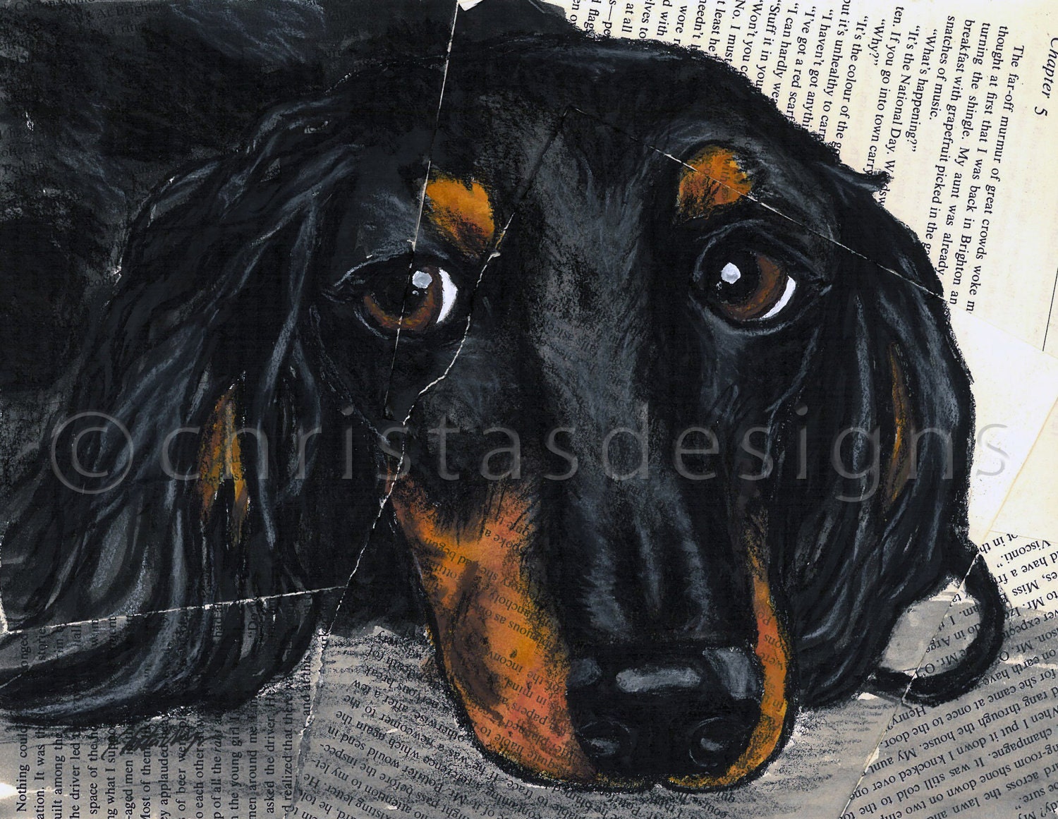 Longhaired Dachshund 8x10 Art Print