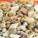 Ocean Tiny Mix Shells (400 pcs.)