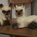 Mama and kitten siamese cat figurine