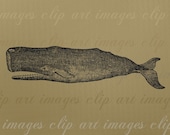 Whale Clip Art, No.1, Royalty Free, Commercial Use, No Credit Required, Digital Download Graphics, Vintage Whale Ephemera