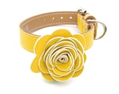 The Flower Child Dog Collar - Sunshine Yellow - LuxeMutt