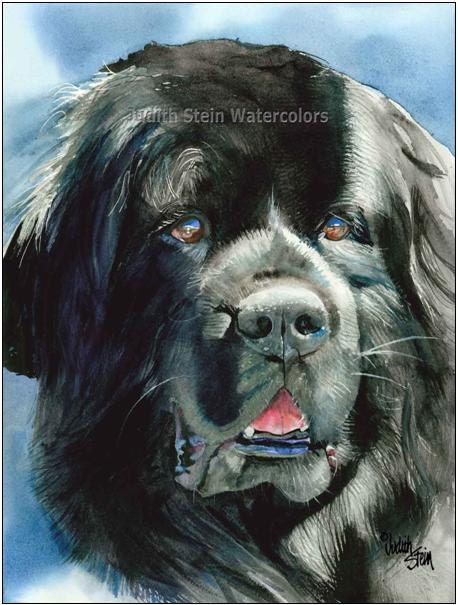 NEWFOUNDLAND Newfie 15x11 Giclee Watercolor Print