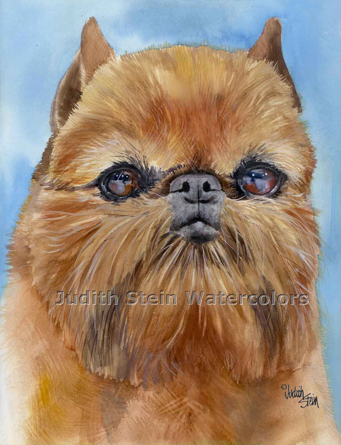 BRUSSELS GRIFFON Toy Dog 15x11 Giclee Watercolor Print