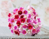 Dainty Millinery Vintage Style Forget Me Not Flowers in Pink Passion Mix