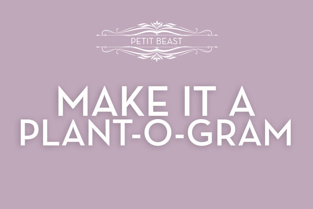 PLANT-o-GRAM Upgrade