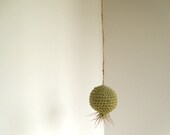 Olive Green Hanging Pod with Air Plant - airyobsessions