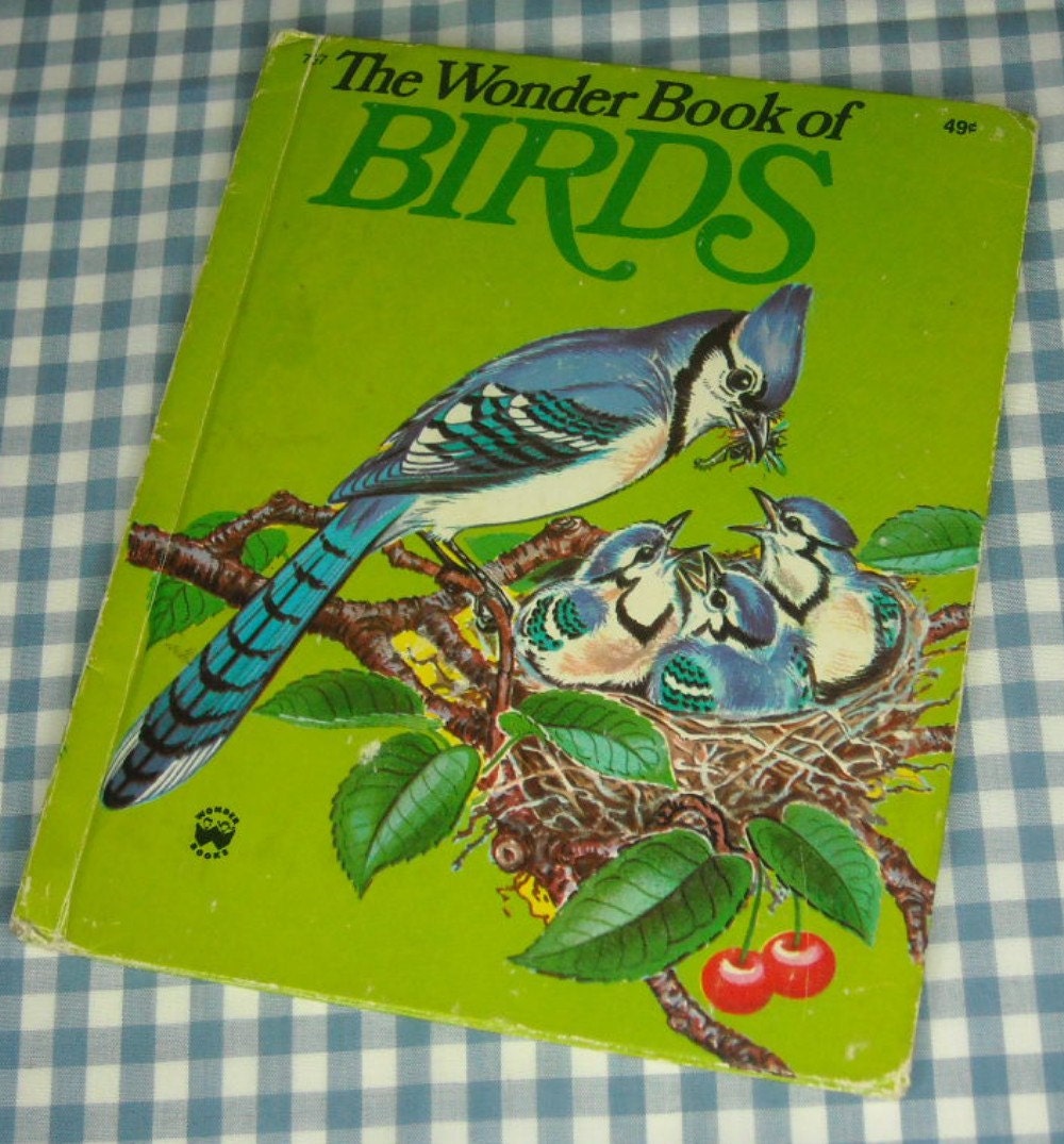 the wonder book of birds, vintage 1974 children's book - vintagebookbazaar