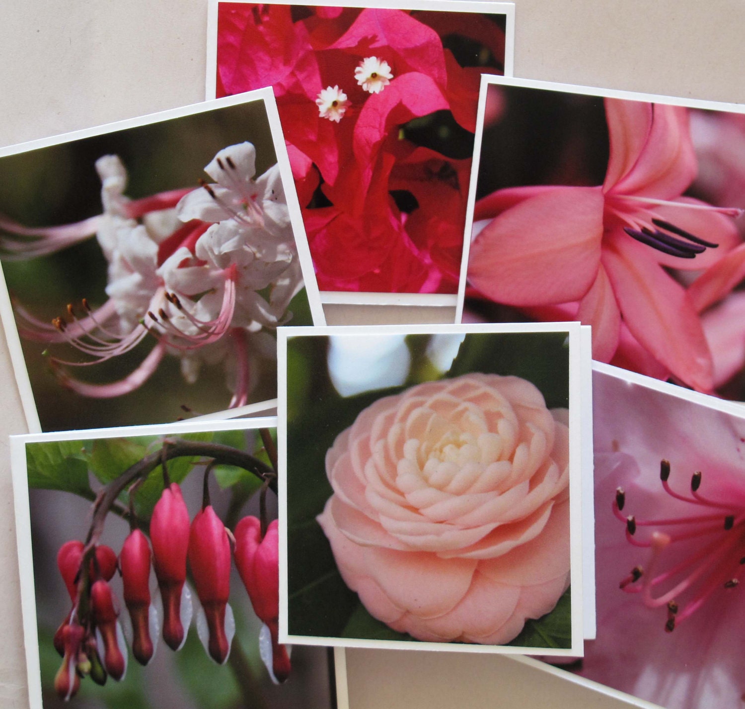 Pink flowers photo Mini Cards or Gift Tags (set of 6) / purple flower photo cards / tulip photo cards / yellow flowers