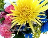 Floral Explosion