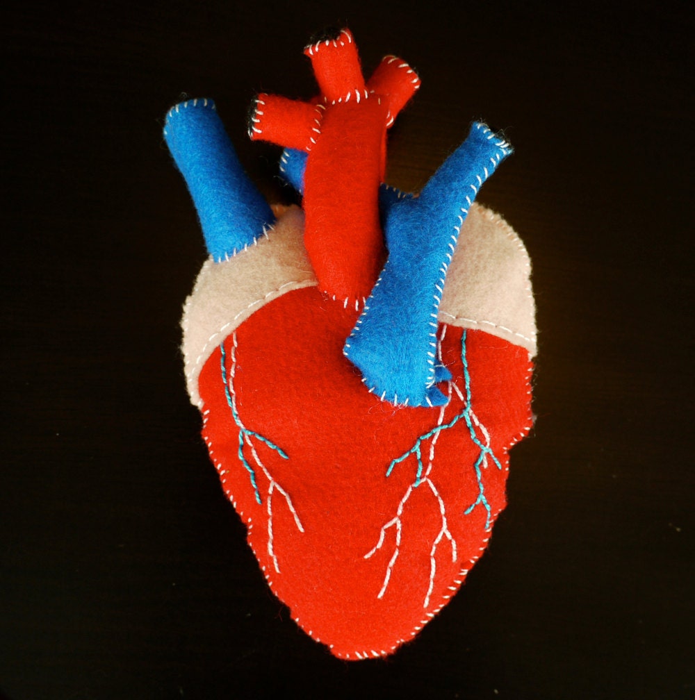 Anatomical Heart Plush - Human Heart Plush