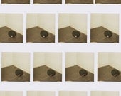 The Skull Polaroid 16 x 20" Canvas Print