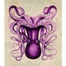 Archival Print  8x10 - Purple Octopus