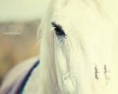 White horse Photograph. Fine art. Home decor. Wall art. Cottage art. Spring photo. English countryside. Farm. Shadowfax 8x10
