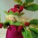 Raspberry - Flower Child - Waldorf Inspired - Nature Table