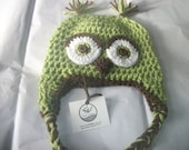 NEW - Owl Beanie in Sweetpea & Chocolate Custom Green and Brown Photo Prop Pick Your Size Crochet Baby Hat Gift Blue Boy