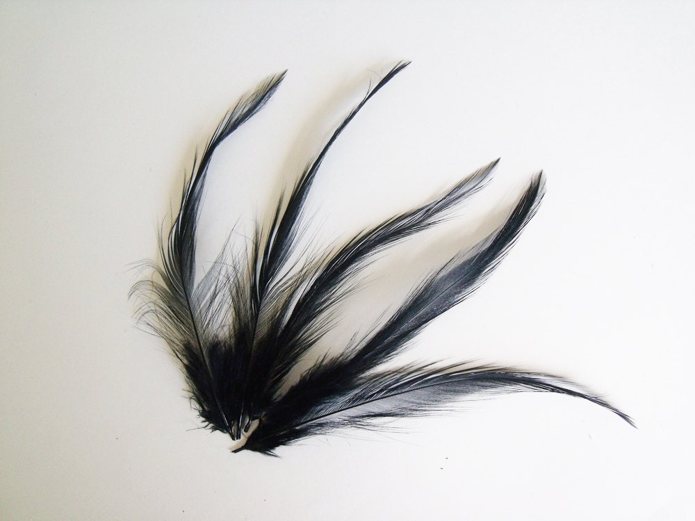 Hackle Saddle Feathers