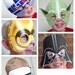STAR WARS PARTY Printable Mask Collection. Includes 10 mask designs.