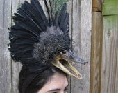 The Gator  Feather Headdress