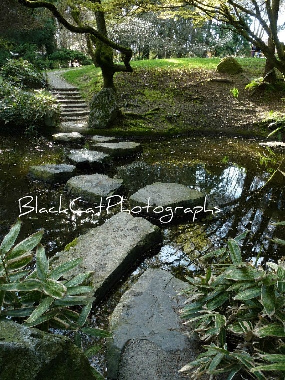 Pond photograph, spring landscape art, green 8x12 print, reflection photo, zen