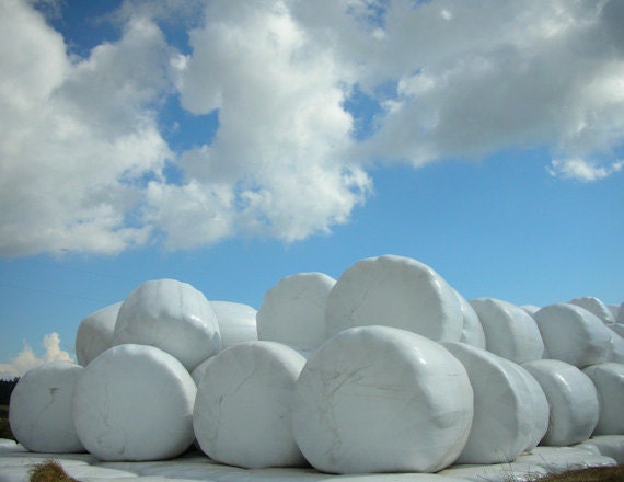 Captured Clouds - Where clouds come from