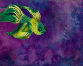 Watercolor painting, Beta Fish 8x12 by Alicia VanNoy Call, Print, Green and Purple