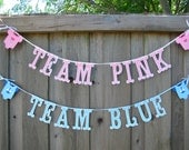 Gender Reveal Banners Team Pink Team Blue