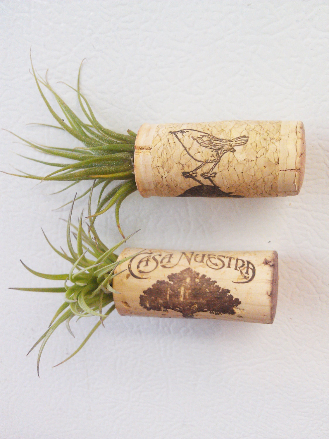 Air Plant Garden Magnet Pin & Refrigerator Decor  MADE TO ORDER - two